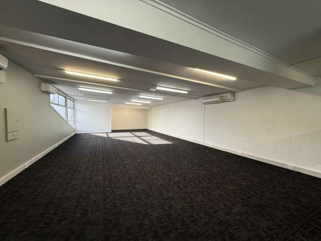 36 Williamson Avenue Grey Lynn_4