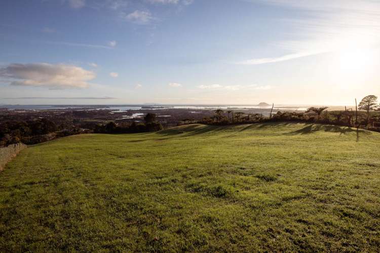 8 Pheasant Lane Te Puna_7