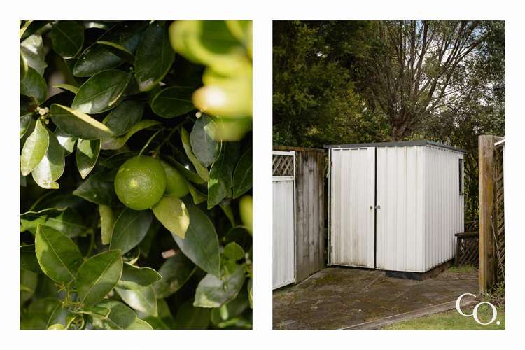 53 Te Hono Street Maungatapu_34