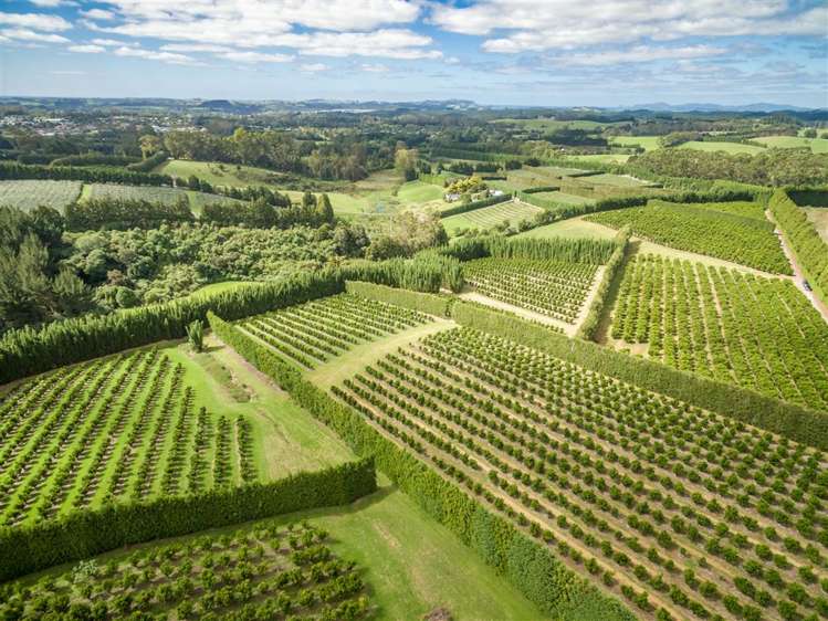 517 Kerikeri Road Kerikeri_8