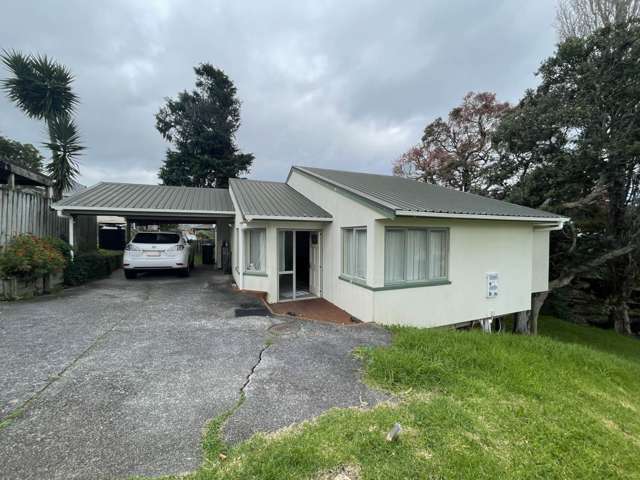 486a Hillsborough Road Mount Roskill_2