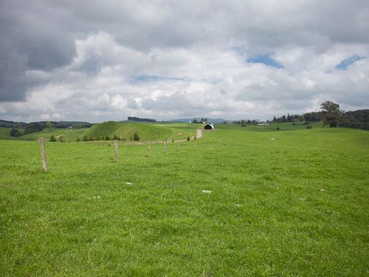 438 Waotu South Road Putaruru_36