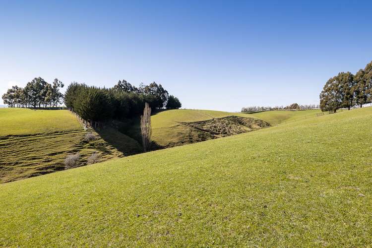 285 Clarks Flat Road Waitahuna_17