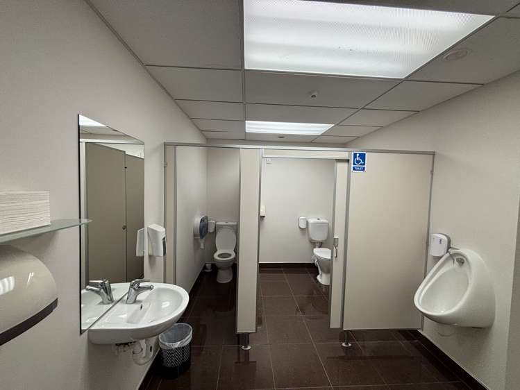 71 Hutt Road Pipitea_13