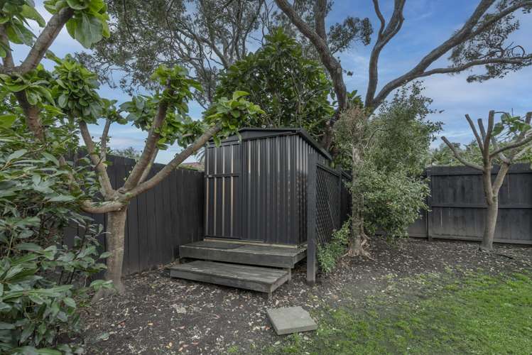 11 Old Mill Road Grey Lynn_19