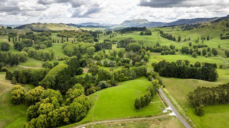 2420, 2430 and 2438 Kahuranaki Road_0