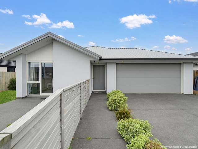 24 Arapawa Street Belfast_1