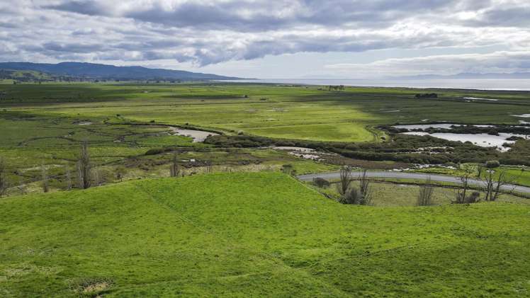 905 Miranda Road Miranda_5