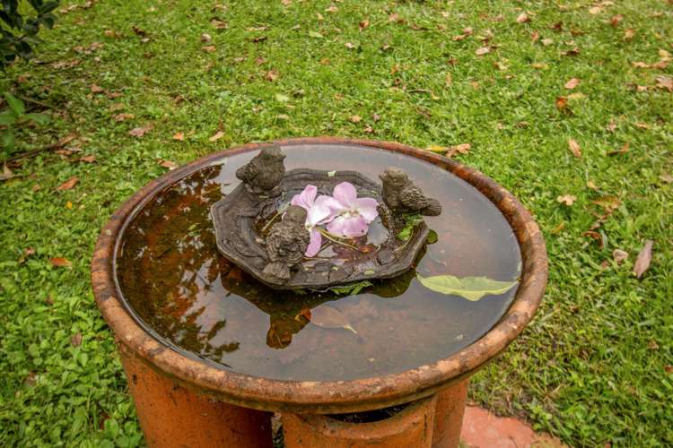 4b Maui Street New Lynn_15