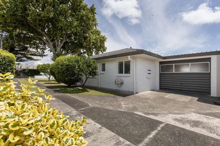 5A Twelfth Avenue Tauranga South_17