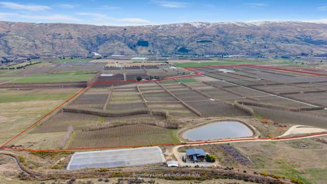 213 Kinaston Road Roxburgh_2