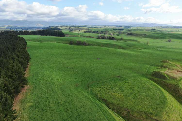 2048 State Highway 50 Ongaonga_5