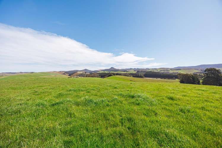 65 Baghdad Road Hampden_6