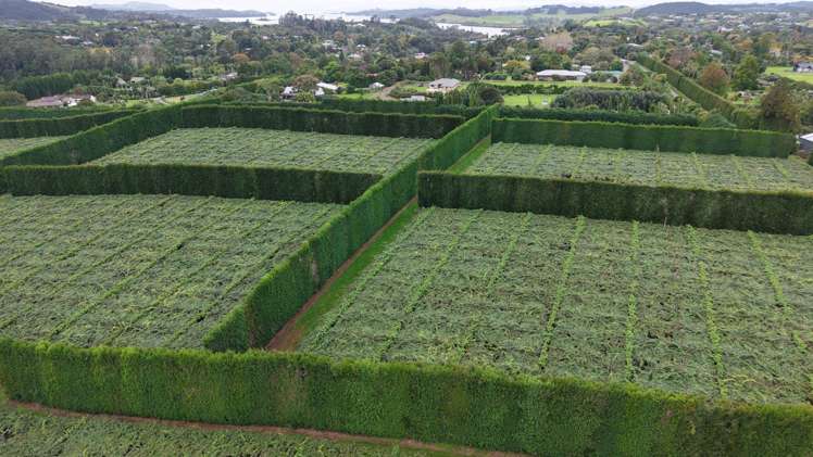 114 Landing Road Kerikeri_9