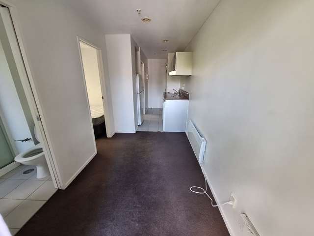 113 Vincent Street 10015_2