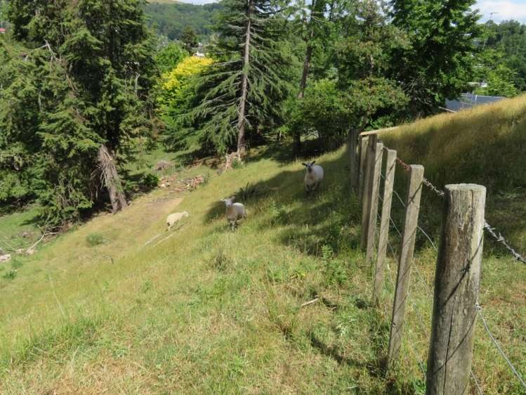 45 Esplanade Te Kuiti_14