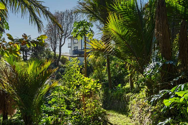 64 Cutfield Road New Plymouth Central_24