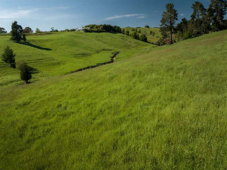 223 Redwood Valley Road Redwood Valley_32