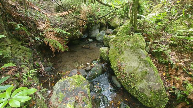 574 Honeymoon Valley Road Peria_11