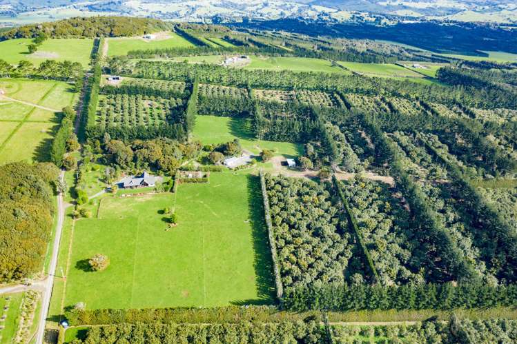 232 Simons Road Poroti_6