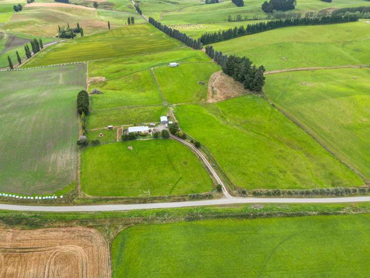 319 Collins Road Gore Surrounds_6