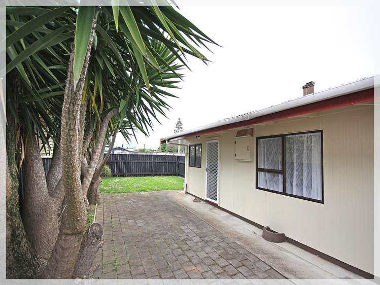 133 Tiro Tiro Road Levin_14