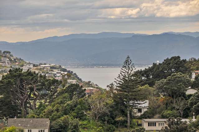 17b Fitzroy Street Wadestown_1