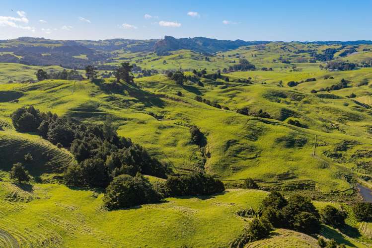 80 Harrison Road Waiotira_18