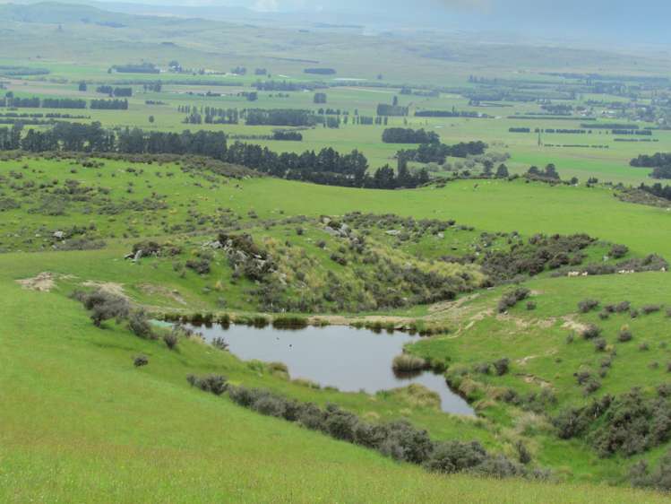 78 Mckinnon Road Middlemarch_17