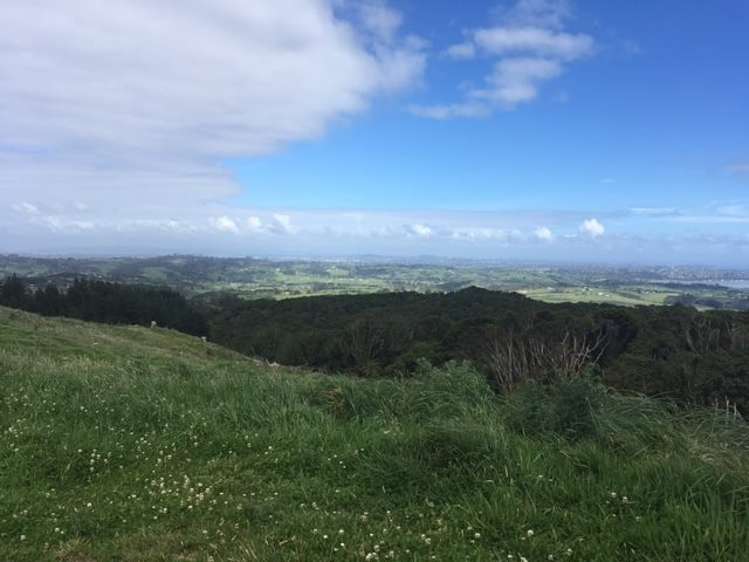 136 Solway Road Whitford_0