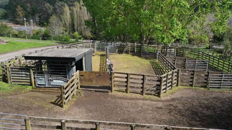 613 Waterworks Road Morrinsville_9