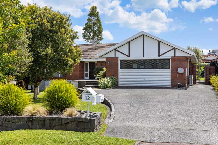 12 Maaka Place Saint Johns_29