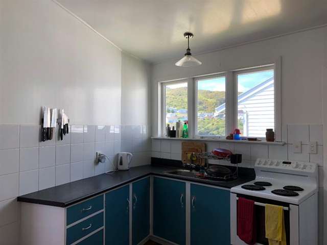 42 Hathaway Avenue Karori_4