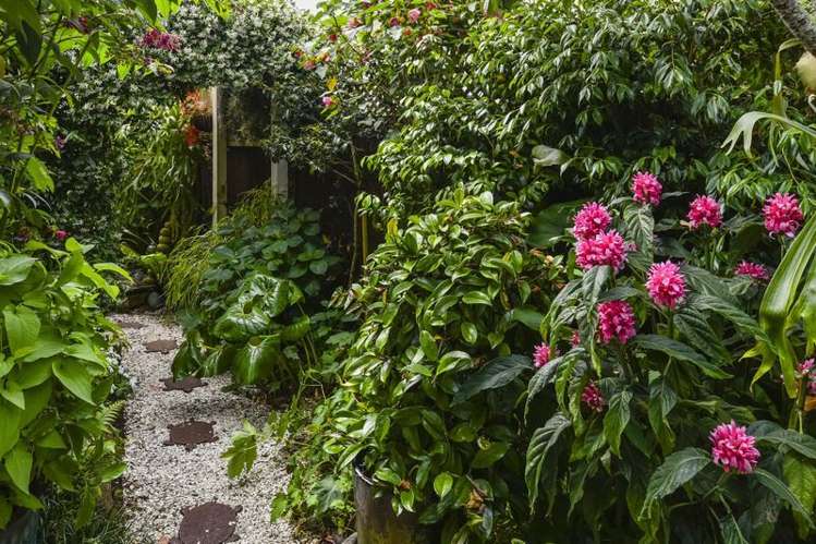 2/36 Francis Street Hauraki_19