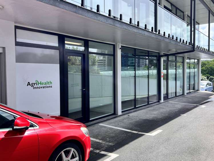 125 Grafton Road Grafton_9