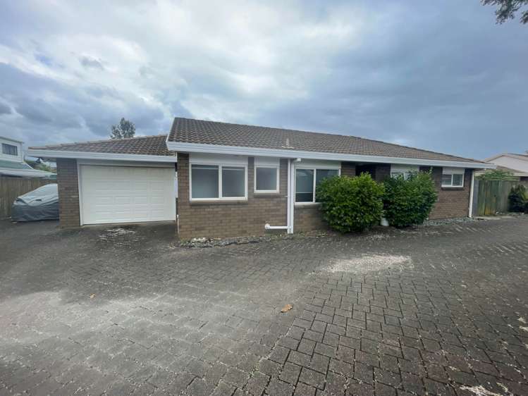 36b Victor Street Avondale_0