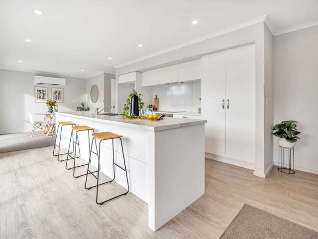 113 Thomson Street Tinwald_1