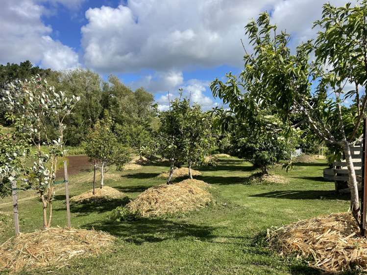 852 Oneriri Road Kaiwaka_61