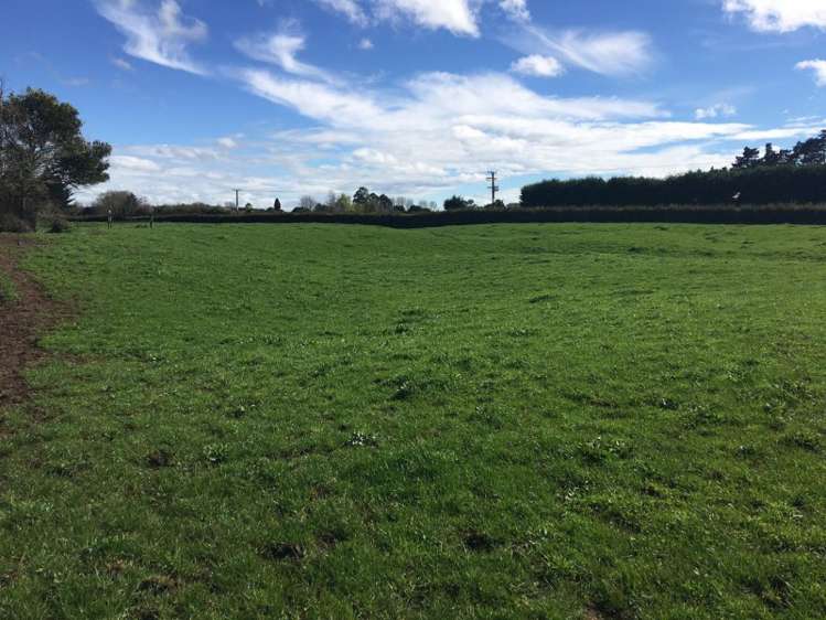 102 Platt Road Tauwhare_8