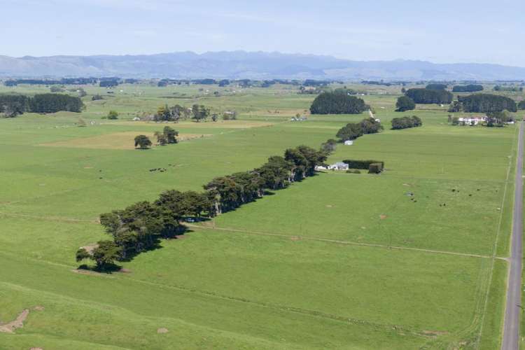 335a Couper Road Glen Oroua_16