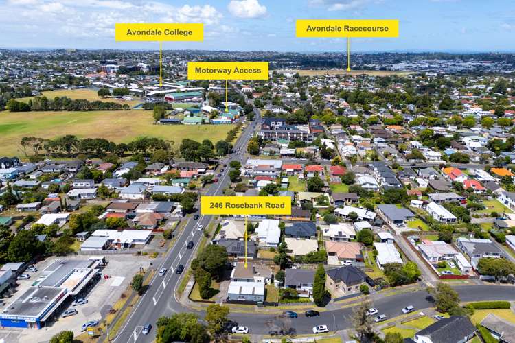 246 Rosebank Road Avondale_2