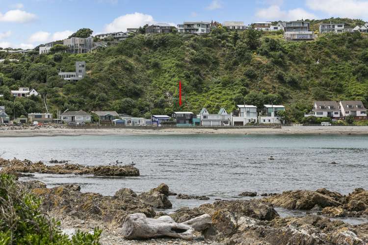 32 Owhiro Bay Parade Owhiro Bay_21