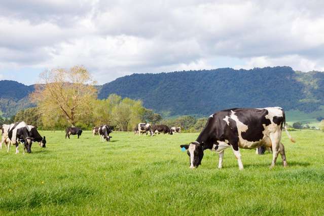 Confidence in every Kilogram backed by irrigation