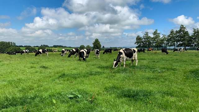 870 Waikouro-Wairio Road Woodlaw_3