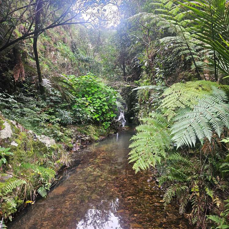 647 Millbrook Road Waipu_22