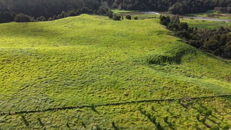Waimatenui Road Waimatenui_2