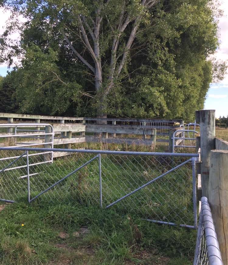 612 Lower Sefton Road Sefton_19