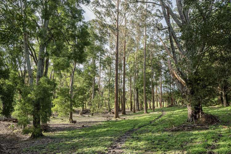 307 Whananaki North Road Opuawhanga_33