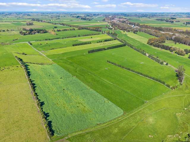 243 Matthew Road Temuka_4