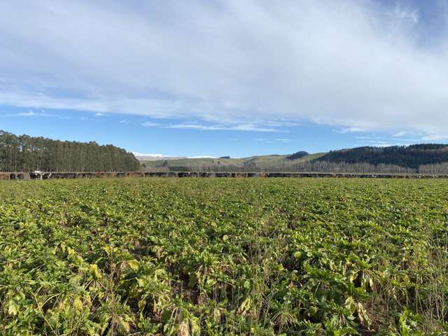 305 Tengawai Flat Road Pleasant Point_1